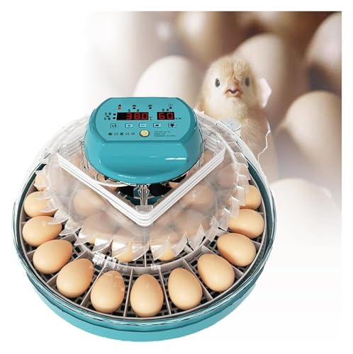 �����z����A�����C���L���x�[�^�[�A�z���@�A �{���p�C���e���W�F���g�C���L���x�[�^�[�i����]�@�\�A���x����@�\�A�������@�\�t���j(110V)