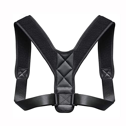 ��l�p�w���㕔�T�|�[�g�u���[�X - �{�f�B�E�F���l�X�p���������A�����j���p�w���u���[�X�p���������A�w���w�؋������A���߉\�Ȕw�����p��������� charitable