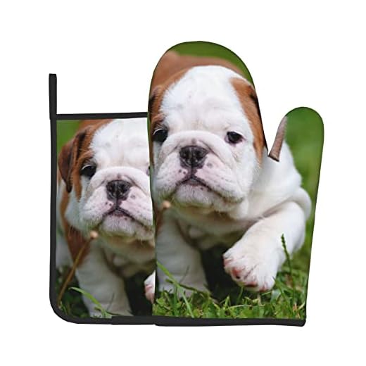 Engelsk bulldog köksugn vantar och grythållare set om 2, vattentäta resistenta heta dynor halkfria matlagningshandskar för kök, mikrovågsugn, bakning, grill