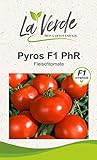 pyrosis deutsch 🍅 Aussaat ab Ende Januar bis Ende März, Ernte ab Juli