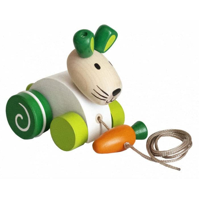 DETOA Pull animal rabbit junior 12 x 9 x 7 cm wood white/green