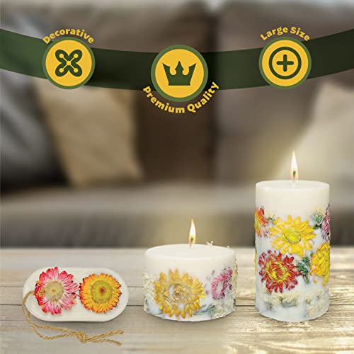 Vionami Aloha Kiwi Passionfruit Scented Candles Gift For Women - Gift-Boxed Scented Pillar Candles Set For Home Decor - Hand Poured Soy Wax Candles With Paper Core Wick And Dried Flowers #TOP5