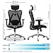 SIHOO Silla Ergonómica de Oficina, Silla de Escritorio con Soporte Lumbar Ajustables,...