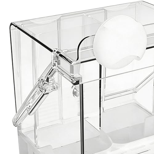 Bañera transparente para loros de material resistente y alta transparencia 8
