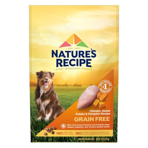 Nature's Recipe Grain Free Dry Dog Food, Chicken, Sweet Potato & Pumpkin Recipe, 12 lb. Bag