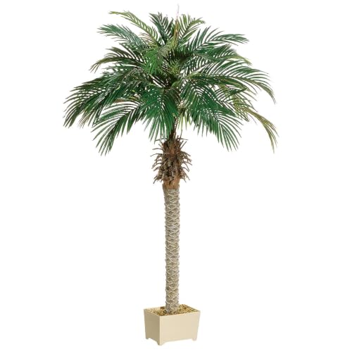Silk Decor 6' Green Phoenix Palm Tree in Rectangular Plastic Pot - Pack of 2