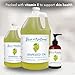 Best of Nature 100% Pure Grapeseed Oil - Unscented, Lightweight, Non-Greasy Moisturizer for Hair, Skin, Face & Aromatherapy, Carrier Oil for Essential Oils, Half Gallon (64 fl oz)