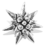 Kommt in ein Schwarz Organza Geschenk Beutel