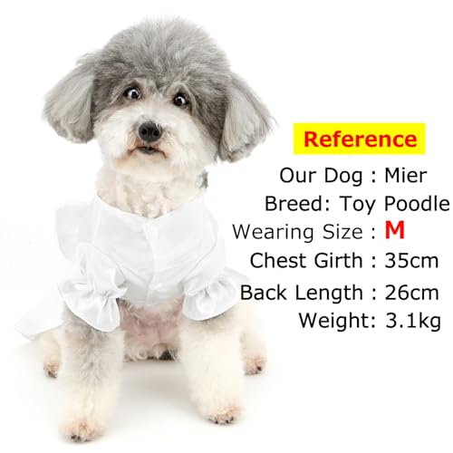 Zunea Vestidos de casamento de luxo para cães pequenos, meninas, noivas, vestido formal branco puro,