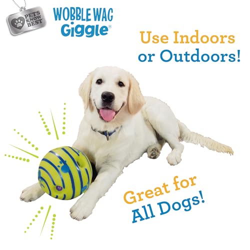 Wobble Wag Giggle Allstar Innovations Ball, Hundespielzeug, Bekannt aus dem TV