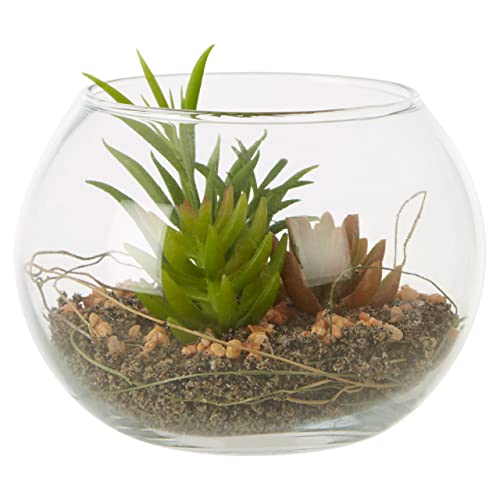 Image of Premier Housewares Small Glass Pot Mixed Succulent, Verdant Accent Pieces, Concrete Planters, Southwestern Style, Clear Glass Globe, Faux Succulents, Succulent Plants, W15 x D15 x H11cm