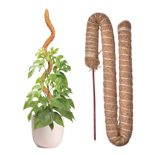 Monstera Tuteur en Coco 90 cm Bâton de Mousse Flexible pour Monstera avec Accessoires, Tige pour grimpantes, Support Naturel