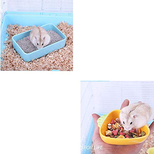 Grande cage hamster REYG anti-stress pour élevage écureuil bleu