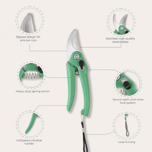 Image of JD FRESH Hand Pruner Cutter /Stainless Steel Bypass Blade Pruning Shears /Safety Lock /Non Slip Handle /Return Spring /Garden Scissors and Plant Cutter for Gardening /Plants /Bushes & Hedges /Branches (Green)