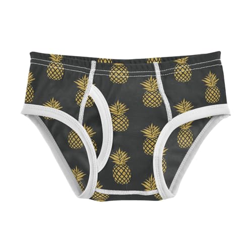 Boys' Exclusive Briefs Toddler Underwear 95% Combed Cotton Boxerbriefs 2T Pineapple Pattern 58