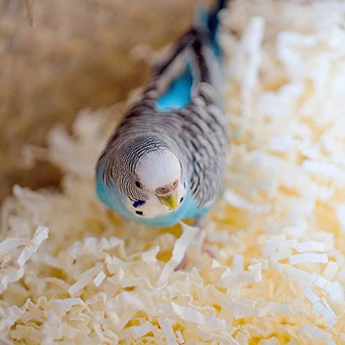 Oceek Cedar Blue Bird Box House Wood Bird Box House Audubon Cedar Wren And Chickadee Wren Home, Cedar Bluebird Box House, With Perch, Bluebird Viewing House Outdoor Wood Bird Box House (8.6" Tall) #TOP5