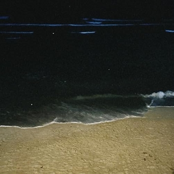 Una Noche En La Playa