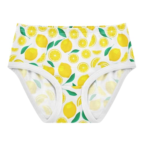 Fruit Lemon Leaves Toddler Girls's Underwear 2T 2301905