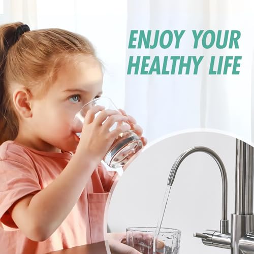 Image of Fapully 3 in 1 Commercial Kitchen Faucet with Sprayer and Water Filler | Brushed Nickel, Kitchen Upgrades,Pull Down Kitchen Sink Faucet with Drinking Water Faucet,llave para fregadero de cocina