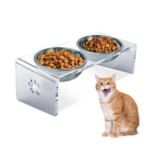 ybg t[h{EtX^h AN 15x̊px hbOt[h{E Ζʃ^Cv  L H XeX ybg{EZbg p AN pHX^h  t[h{E L  L pH Lp |₷ Vv