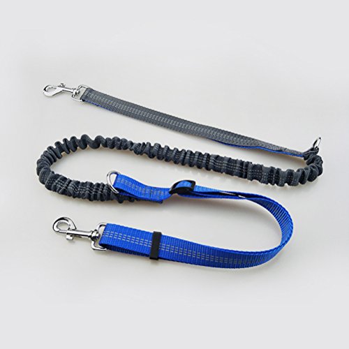 Pet Dog Leash -Trela ??de cão de estimação com cintura livre para correr, caminhar e caminhar com bo
