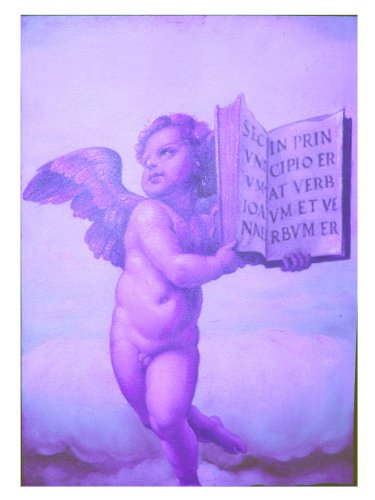 Brauns-Heitmann 60000.00 - Lámina diseño Ángel con Biblia (50 x 70 cm)