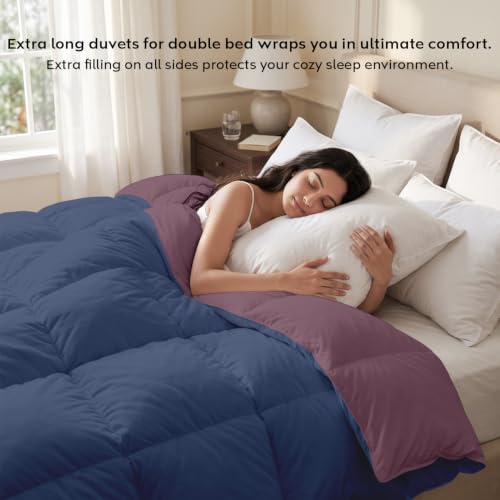 Image of AYKA Reversible Comforter 220 GSM Microfiber Reversible AC Comforter /Blanket for Winter /Quilt /Dohar /Duvets for King Size Blanket /Comforter Double Bed (Plum & Navyblue, 90 * 100 inch)
