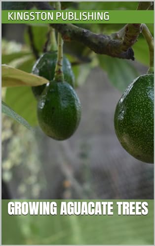 Growing Aguacate Trees (Fruit Trees)
