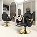 Tythical Salon Chair Reclining Barber Hair Chair for Hair Stylist with Heavy Duty Hydraulic Pump, 360 Swivel Styling Beauty Spa Tattoo Equipment for Home Barbershop, Black Gold