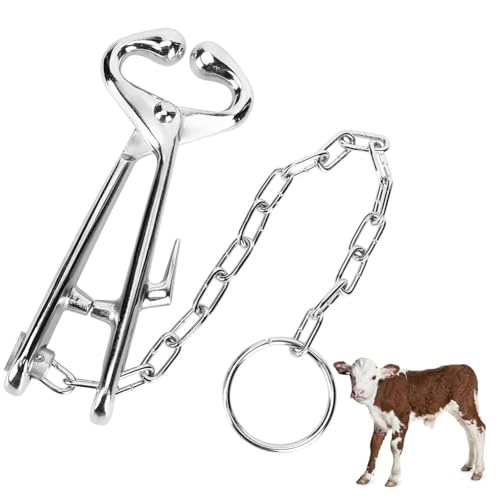 Laisse de nez pour vache et outil de contention du bétail pour boucles