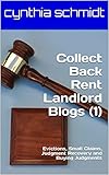 Collect Back Rent Landlord Blogs (1): Evictions, Small Claims, Judgment Recovery and Buying Judgments (Collect Back Rent Blogs) (English Edition)