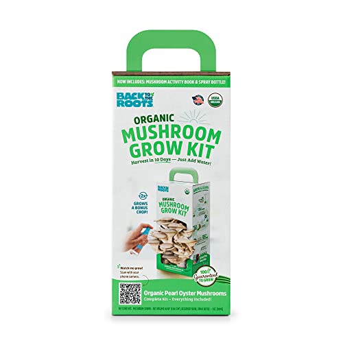 Back To The Roots Organic Oyster Mushroom Grow Kit, Harvest Gourmet Mushrooms In 10 Days #TOP3