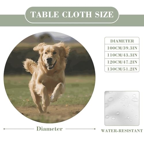 Nappe ronde ajustée Golden Retriever imperméable anti-vent - 3