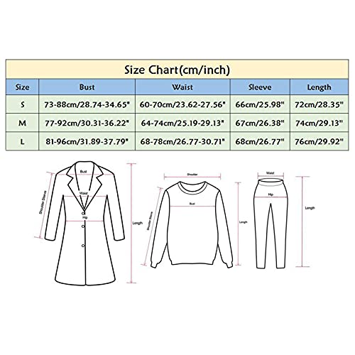AutumnFall Legend Goth Lolita Black Empire-Waist Pleated Chic Dress Mesh Long Sleeve Cami Dresses (1