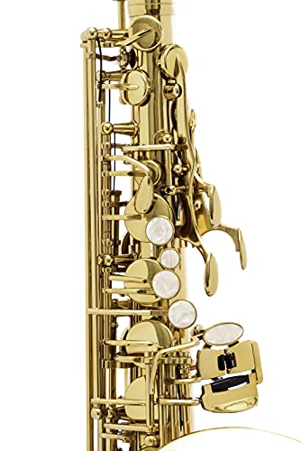 Saxofone Halk Alto Mib Dourado Completo