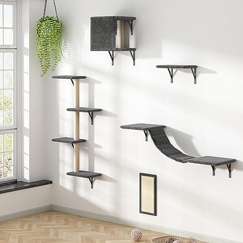 Wall Mounted Cat Tree The 15 best products compared Wild Explained