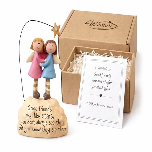 WILDFISH & CO Best Friends Ornament Gift with Card & Gift Box Friendship Keepsake Decoration for Women Birthday Thank You Thinking of You Present.