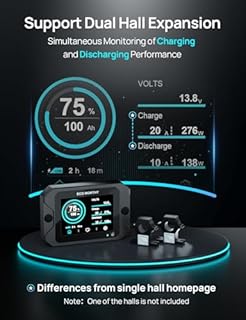 ECO-WORTHY Monitor della batteria aggiornato, 300 A, 12 V/24 V/36 V/48 V, 3,5, display touchable con allarme, 9 – 80 V, batteria agli ioni di litio LiFePO4/gel per camper, impianti solari