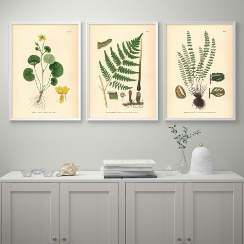 Poster Fleur et Fougère Impression Graphique Fine Art 50x70 cm ProTuning