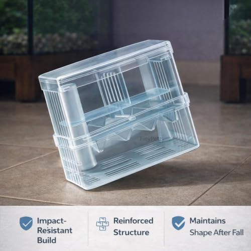 Image of Double Deck Aquarium Breeding Box Medium (14x8x14 cm) Acrylic Fish Fry Isolation Tank | Air Pump Connectable Oxygen Supply | Strong Suction Cup Breeder Box for Guppy, Molly, Betta