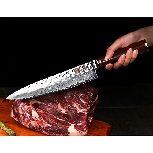 Sunlong Gyuto Chef Knife 10'' - Japanese Hammered Damascus Steel -Pro Kitchen Knife - Razor Sharp Knife - Natural Bloodwood Handle #TOP3