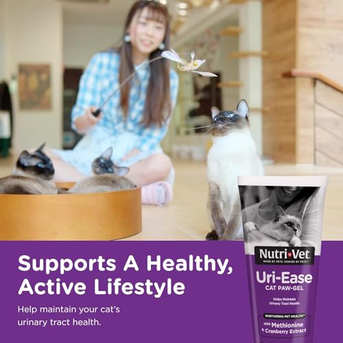 Feline Paw Gel