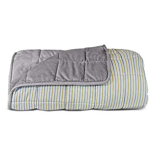 Titan 15 Pound Weighted Blanket, Queen Size 60"x80", Reversible Blanket with Minky Faux