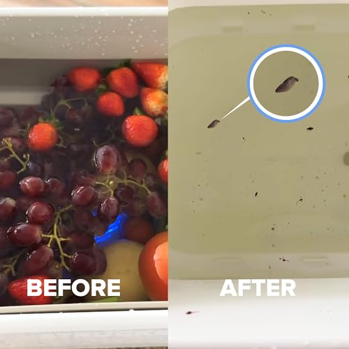 AquaPure - Fruit and Vegetable Washing Machine, 1-Year Warranty, Fruit Cleaner Device That Cleans Fresh Produce in Water, Waterproof Fruit and Vegetable Cleaner, Fruit and Veggie Purifier
