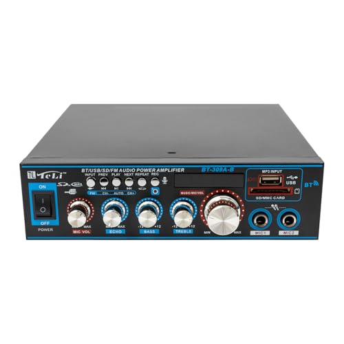 TESUGN Amplificador de alta fidelidad con Bluetooth, 12 V, 220 V, mini amplificador de audio, amplificador digital, compatible con tarjeta FM SD, disco U MP3, amplificador de 300 W + 300 W con 2