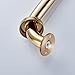 Leyden Brass Shower Grab Bar，Gold Support Bar Bathroom Hand Safety Handrail for Elderly Wall Senior Rail Handle for Tub, Toilet 12 Inch