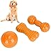AMONIDA TPR Tooth Chew Toy Hundespielzeug, Knochenschleifen TPR Dog Bar Knochenspielzeug, Interaktives Haustierspielzeug für Hunde Katzen Haustiere(Orange)