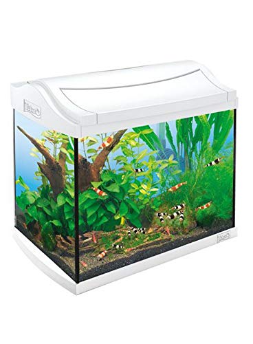 Tetra aquaart crayfish discover Line аквариумный комплекс 30л белый 211940 (4004218211940)