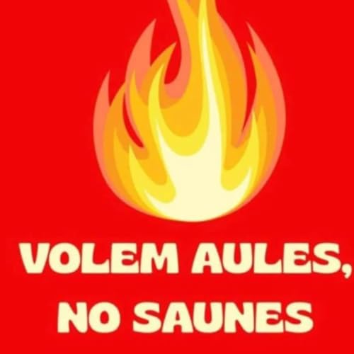 Entrevistes Ací i Ara 2025 - Aules i no saunes a l'IES l'Om