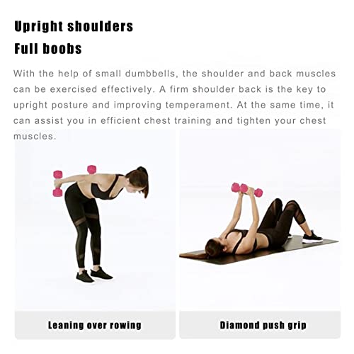 Fiveshops 6Lb Neoprene Coated Hex Dumbbell Set Of 2, Anti-Slip And Anti-Roll Dumbbells Weights, Blue Hand Weights In Pair For Strength Training, Resistance Training #TOP6